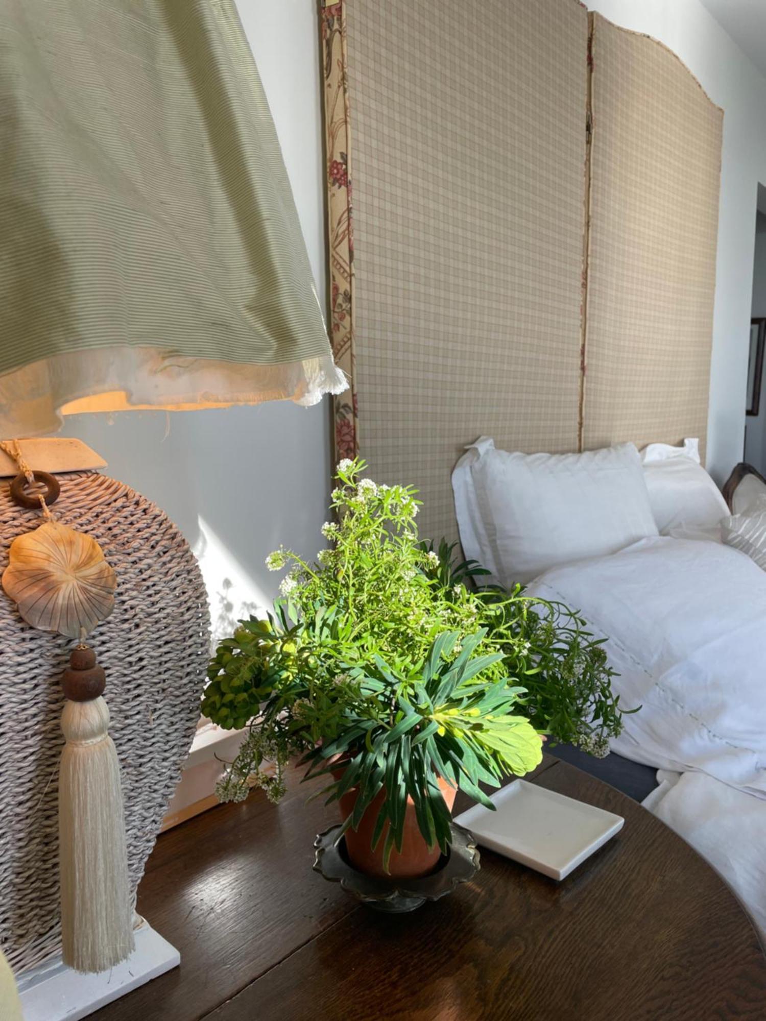 340 Deg Alps & Sea Bed & Breakfast Christchurch Ngoại thất bức ảnh